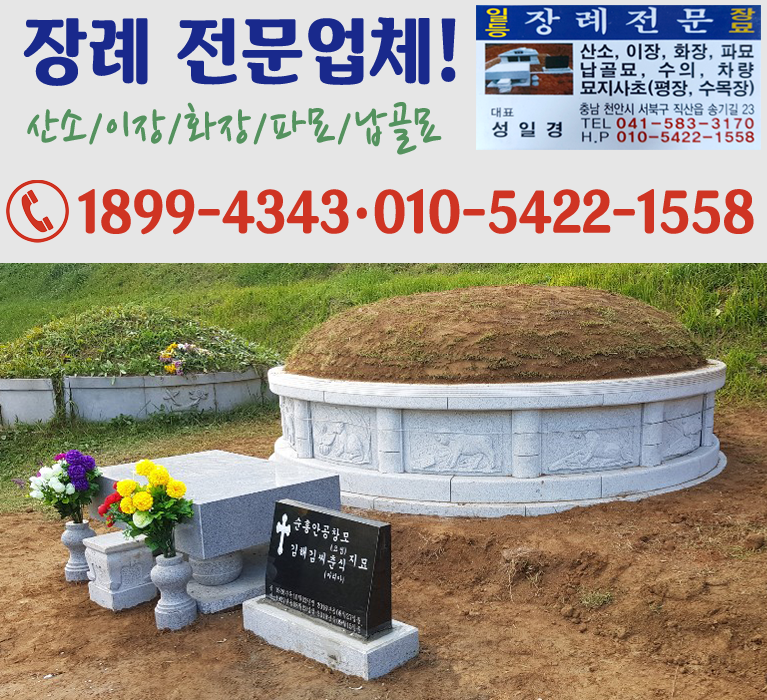 bx배너