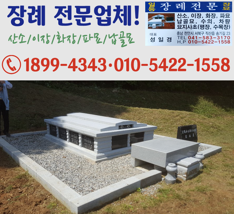 bx배너